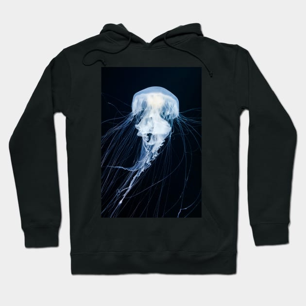 Egg-yolk jellyfish (C045/6860) Hoodie by SciencePhoto